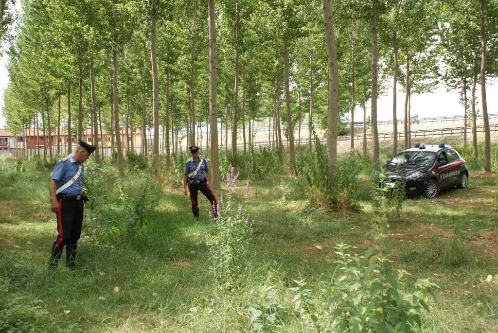 Omicidio Ghibaudo condannato in via definitiva Mario Novi