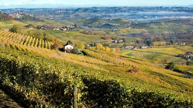 Il tavolo di ambito Langhe e Roero coordinerà l'attività di Enoteche regionali e cantine comunali