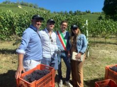 Le Città del vino provano la vendemmia turistica sulle colline albesi 3