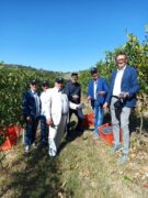 Le Città del vino provano la vendemmia turistica sulle colline albesi 2