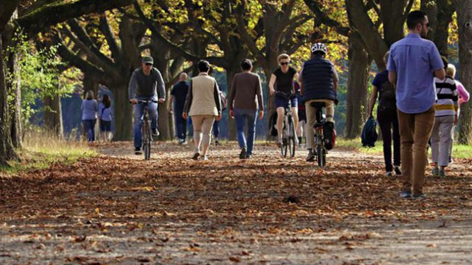 autunno Notte autunnale, minime a 5-6 gradi anche in pianura