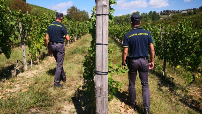 Lavoro nero in vigna: 14 addetti scoperti dalla Finanza nell'Astigiano