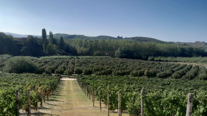 La raccolta delle nocciole ha aperto l'anno alla scuola agraria di Grinzane Cavour