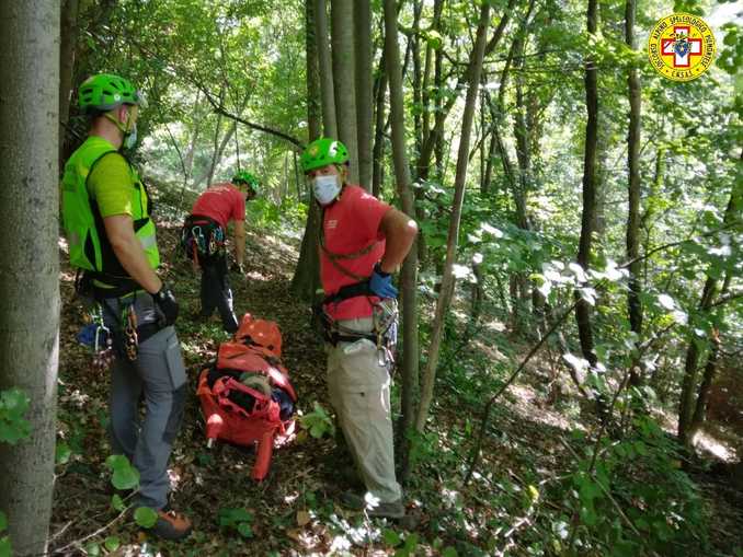 Cercatore di funghi cerca di fuggire dai cinghiali ma cade in una scarpata