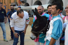 Il Borgo dei Brichet vince il Palio degli asini (FOTO E VIDEO) 1