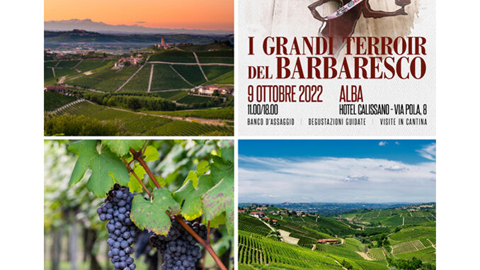 “I Grandi Terroir del Barbaresco”, degustazioni e approfondimenti ad Alba sul grande rosso di Langa