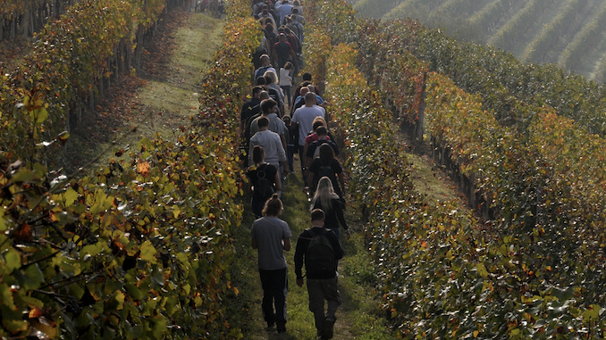 Di sörì in sörì, 22ª edizione: la passeggiata enogastronomica tra le colline di Diano d’Alba