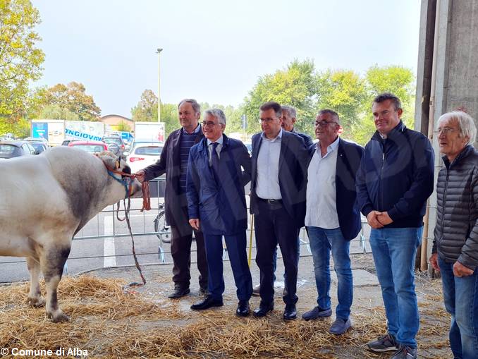 Una cinquantina di capi alla rassegna zootecnica albese