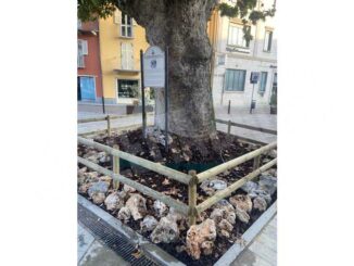 Canelli: ripristinata l'area verde in piazza Cavour