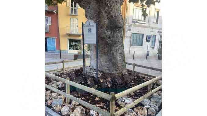 Canelli: ripristinata l'area verde in piazza Cavour