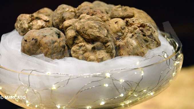 Asta mondiale del tartufo da record (FOTO E VIDEO) 6