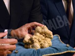 Asta mondiale del tartufo da record (FOTO E VIDEO) 9