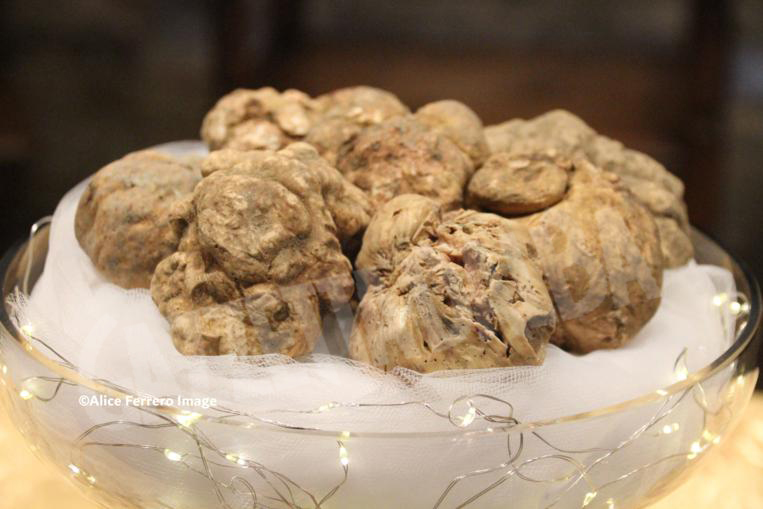 tartufo bianco d