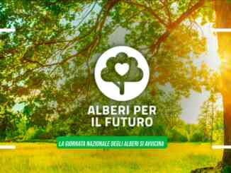 Ad Alba si piantano alberi per il futuro