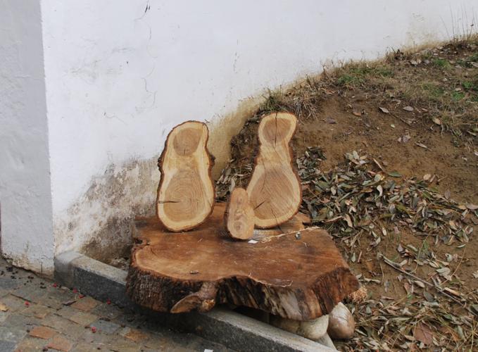 A Montaldo Roero il centro storico si anima con i Presepi di Natale (FOTOGALLERY) 29