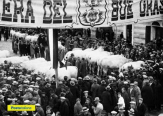 L'annullo filatelico per la Fiera del bue grasso di Carrù