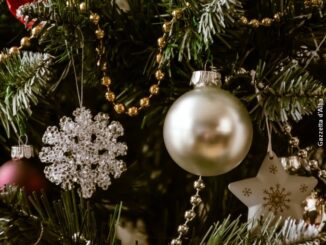 Rubato l'albero di Natale del Comune di Romano Canavese