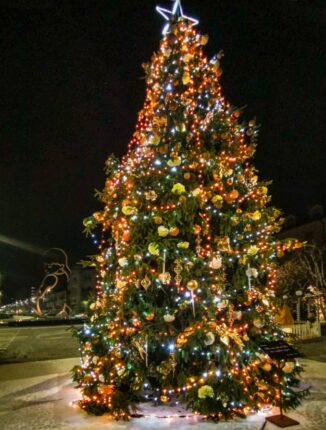 Alba Capodanno 2023 (FOTOGALLERY) 6