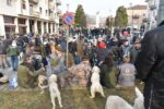 Con la sfilata di tabui e trifolao cala il sipario sulla stagione del tartufo (FOTO e VIDEO) 6