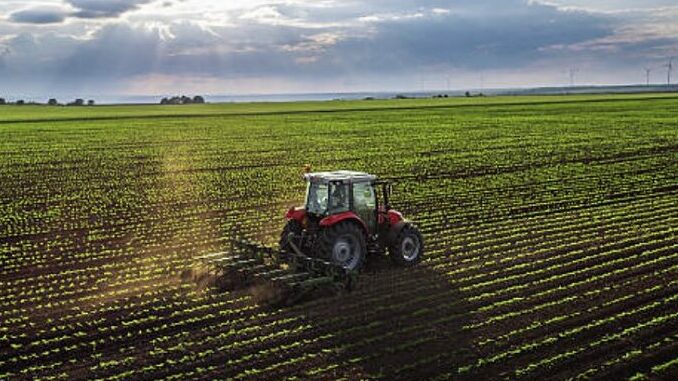 Agricoltura Piemonte: la Regione proroga le misure agroambientali del Psr con una dotazione finanziaria di 1,5 milioni di euro