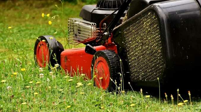 Per alcuni giorni il cassone per la raccolta del verde di Pollenzo non sarà utilizzabile