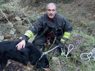 Cade in un burrone a Santa Libera: cane soccorso dai Pompieri