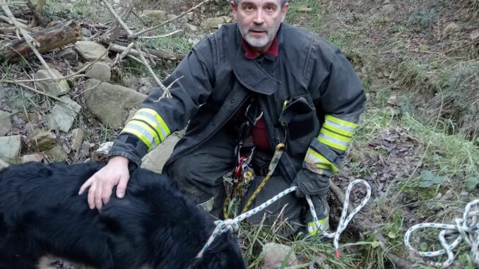 Cade in un burrone a Santa Libera: cane soccorso dai Pompieri