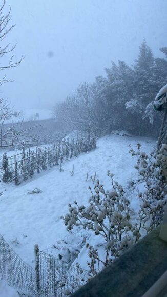 Maltempo: una domenica con vento forte e, dal tardo pomeriggio, la neve annunciata dalle previsioni (FOTOGALLERY) 11