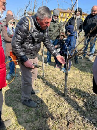 Castagnole delle Lanze: ritorna la festa della potatura 1