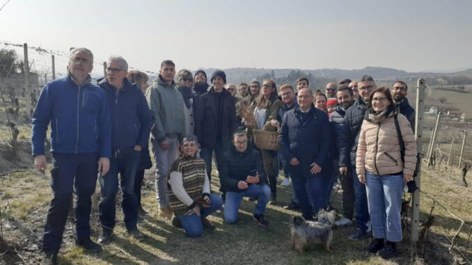 Castagnole delle Lanze: ritorna la festa della potatura