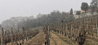 Maltempo: una domenica con vento forte e, dal tardo pomeriggio, la neve annunciata dalle previsioni (FOTOGALLERY) 2