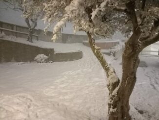 Maltempo: una domenica con vento forte e, dal tardo pomeriggio, la neve annunciata dalle previsioni (FOTOGALLERY) 5