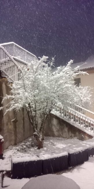 Maltempo: una domenica con vento forte e, dal tardo pomeriggio, la neve annunciata dalle previsioni (FOTOGALLERY) 14