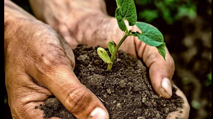 La scuola rurale della valle Bormida dedica i nuovi corsi ai prodotti della terra