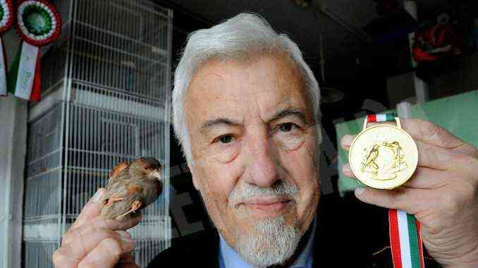 Franco Sensibile vince il Mondiale di ornitologia con canarini cobalto-bruno