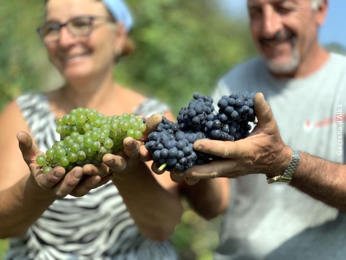 Alta Langa: molte novità in vista