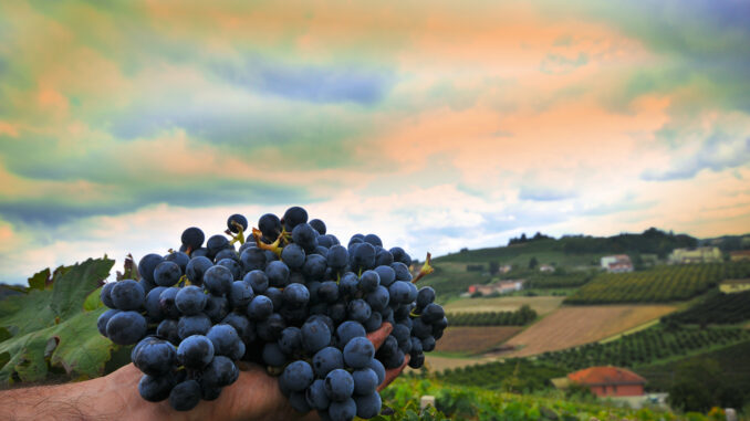 A Costigliole d’Asti si parla di come produrre vino in modo sostenibile