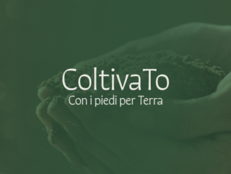 Al via Coltivato, il festival torinese dell'agricoltura