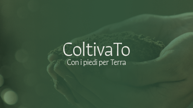 Al via Coltivato, il festival torinese dell'agricoltura