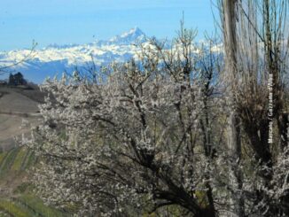 Meteo: tempo incerto in attesa di un cambio di circolazione