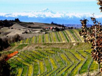 Panorama colline Langa