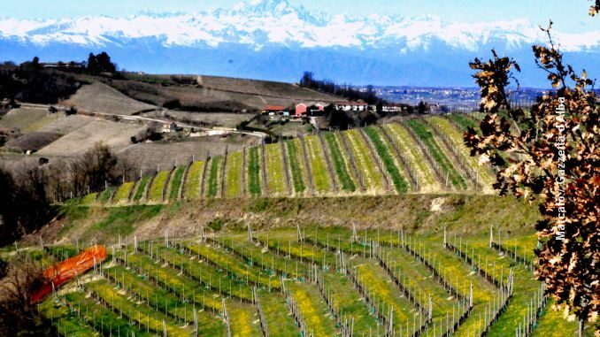 Panorama colline Langa