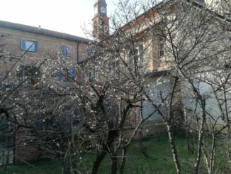 Torna il “13 del mese” al Santuario, con il diacono Levrone: trent'anni di devozione mariana