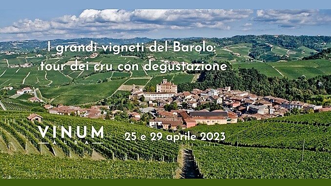 I grandi vigneti del Barolo: tour dei cru con degustazione