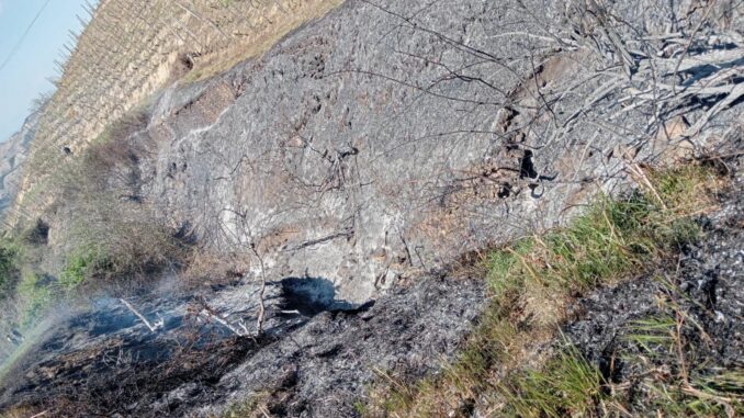 Cossano Belbo: rogo di vegetazione spento dai Vigili del fuoco