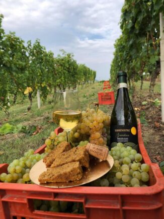 Cossano Belbo: la Terrenostre premiata al Vinitaly