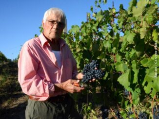 Il ricordo di Valerio Sacco, viticoltore 91enne di Madonna di Como