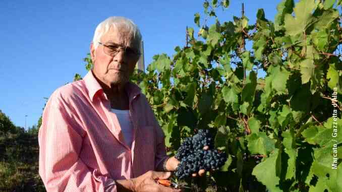 Il ricordo di Valerio Sacco, viticoltore 91enne di Madonna di Como