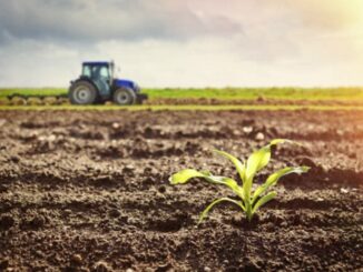 Bandi per interventi agro-climatico-ambientali, agricoltura biologica e benessere animale: prorogata la scadenza al 15 giugno