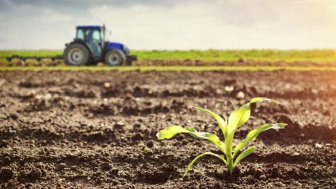 Bandi per interventi agro-climatico-ambientali Bandi per interventi agro-climatico-ambientali, agricoltura biologica e benessere animale: prorogata la scadenza al 15 giugno
